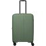  Air Stripe 4 Rollen Trolley M 66 cm mit Dehnfalte Variante green