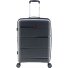  0800 4 Rollen Trolley 65 cm mit Dehnfalte Variante dusty green